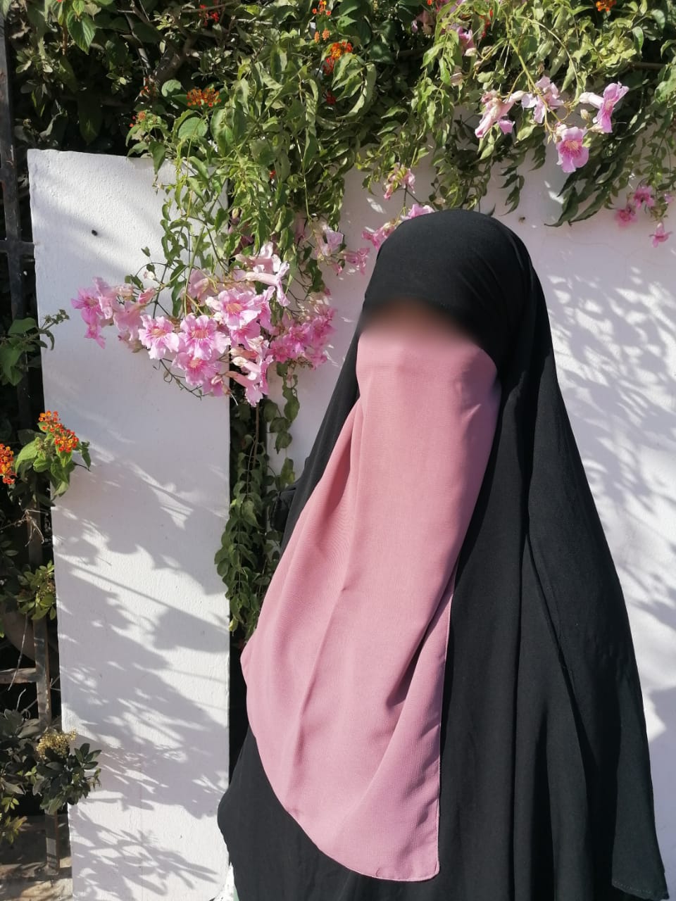 Half Niqab