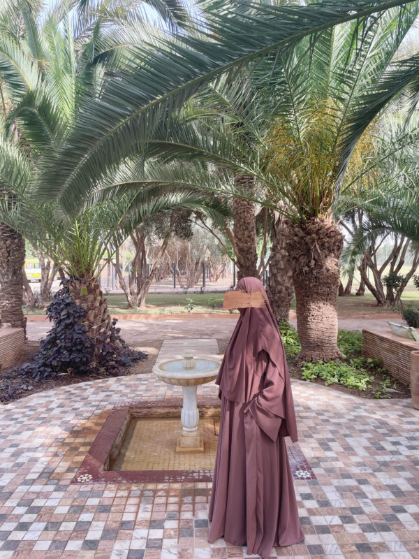 Abaya Korea Taupe Rosé Dar Al Iman